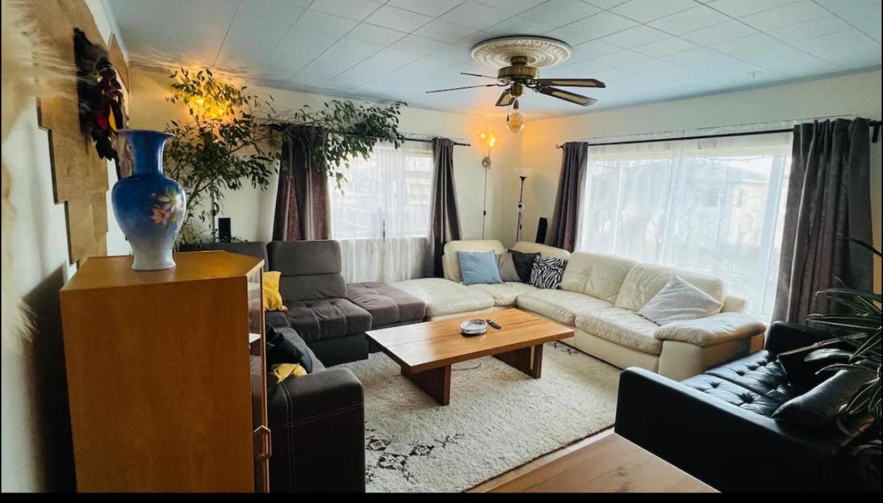 Dream Guesthouse ヴィーク エクステリア 写真